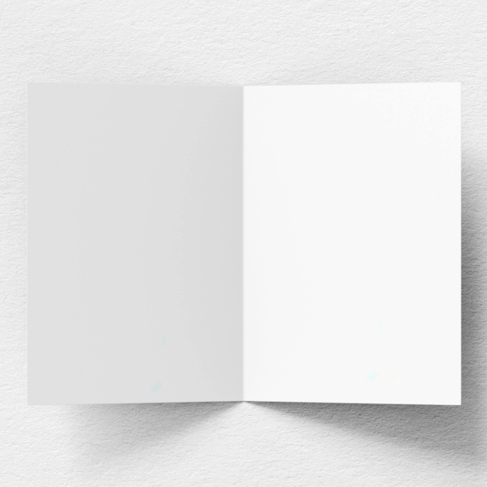 Merry Christmas Greeting Card C2